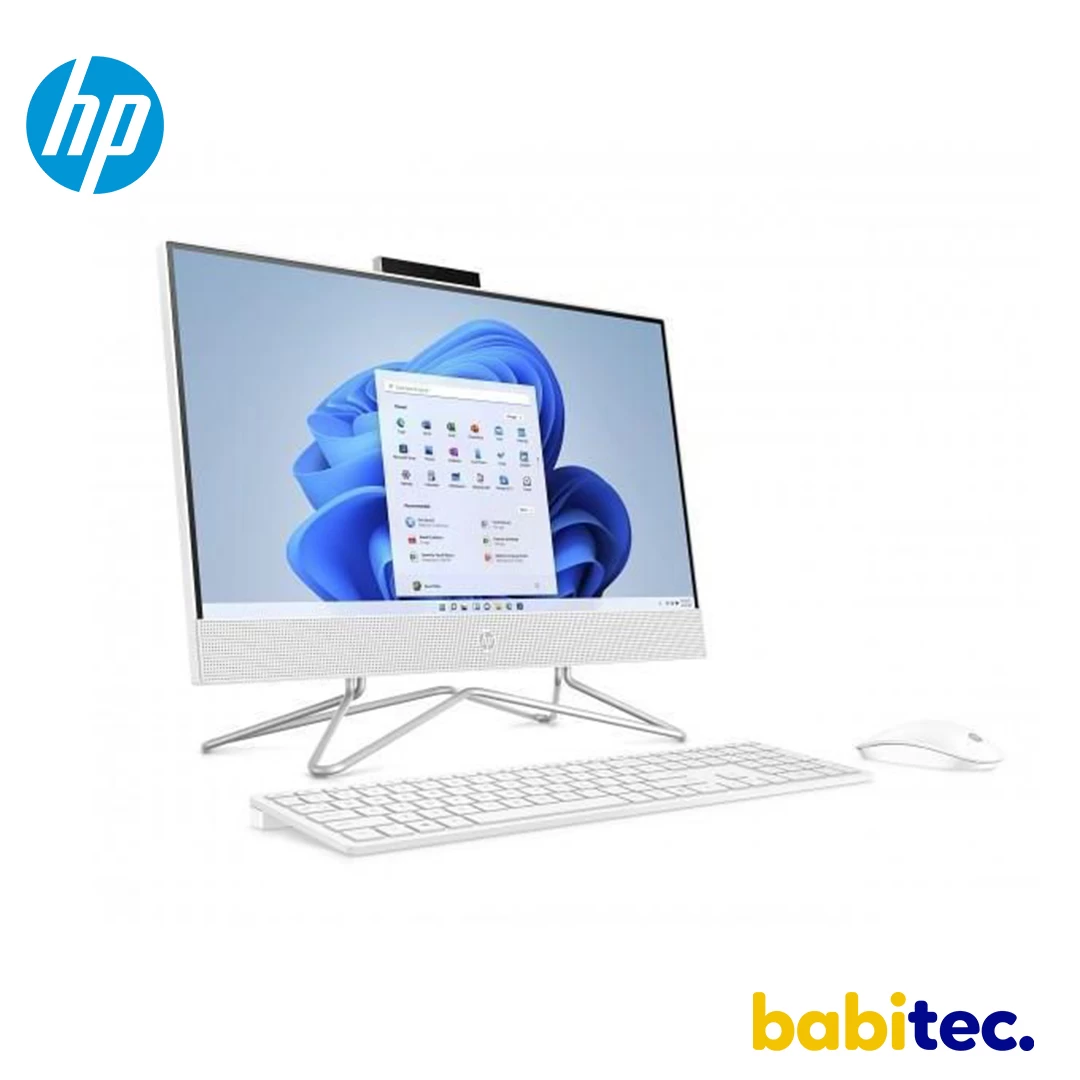 Hp ORDINATEUR DE BUREAU ALL IN ONE DUAL COR